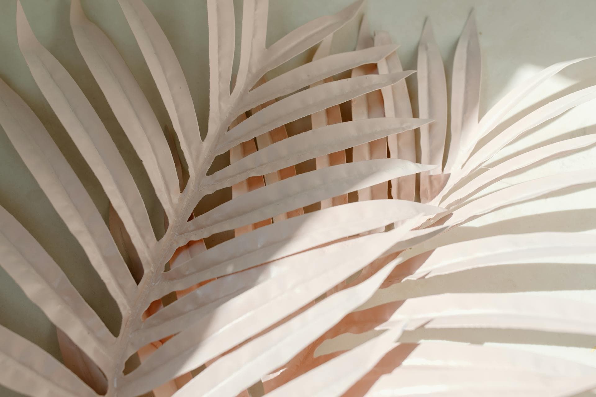 Art Print #2616