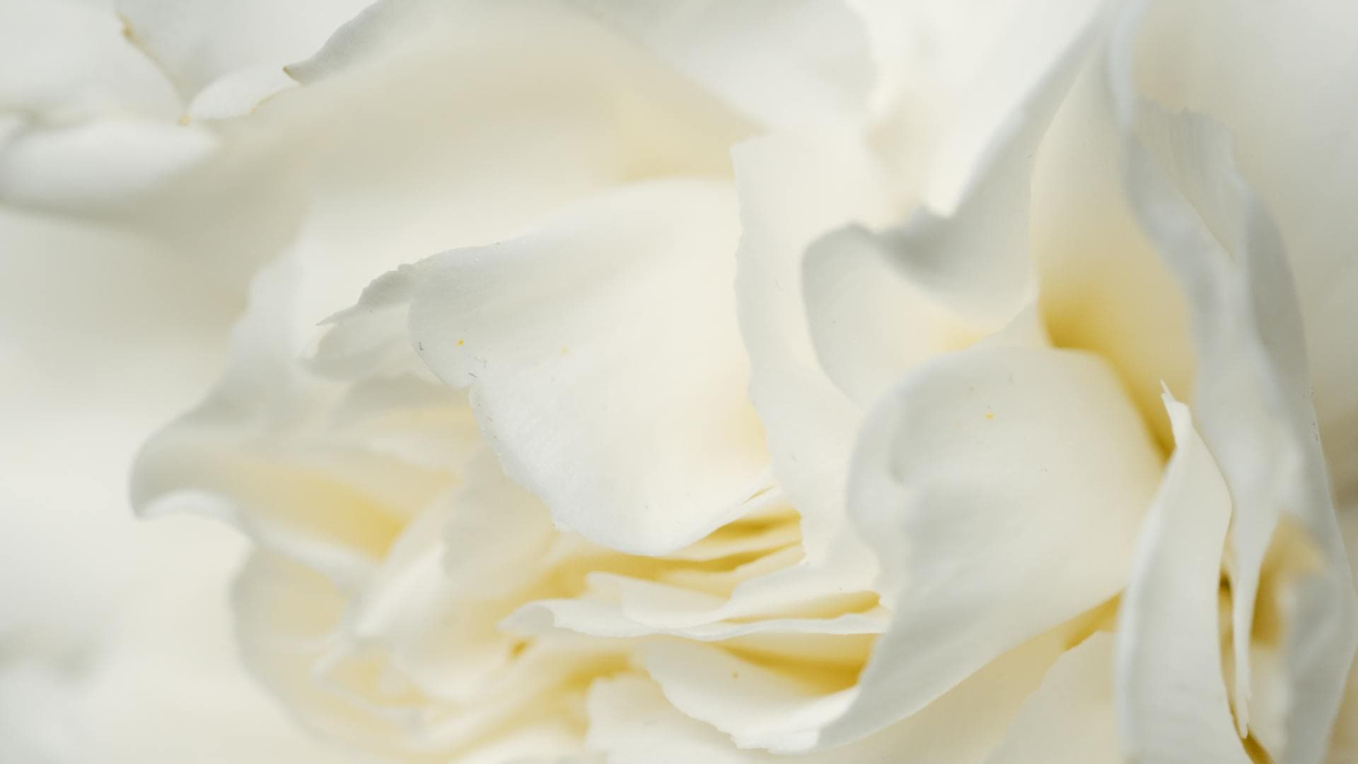 Art Print #9226